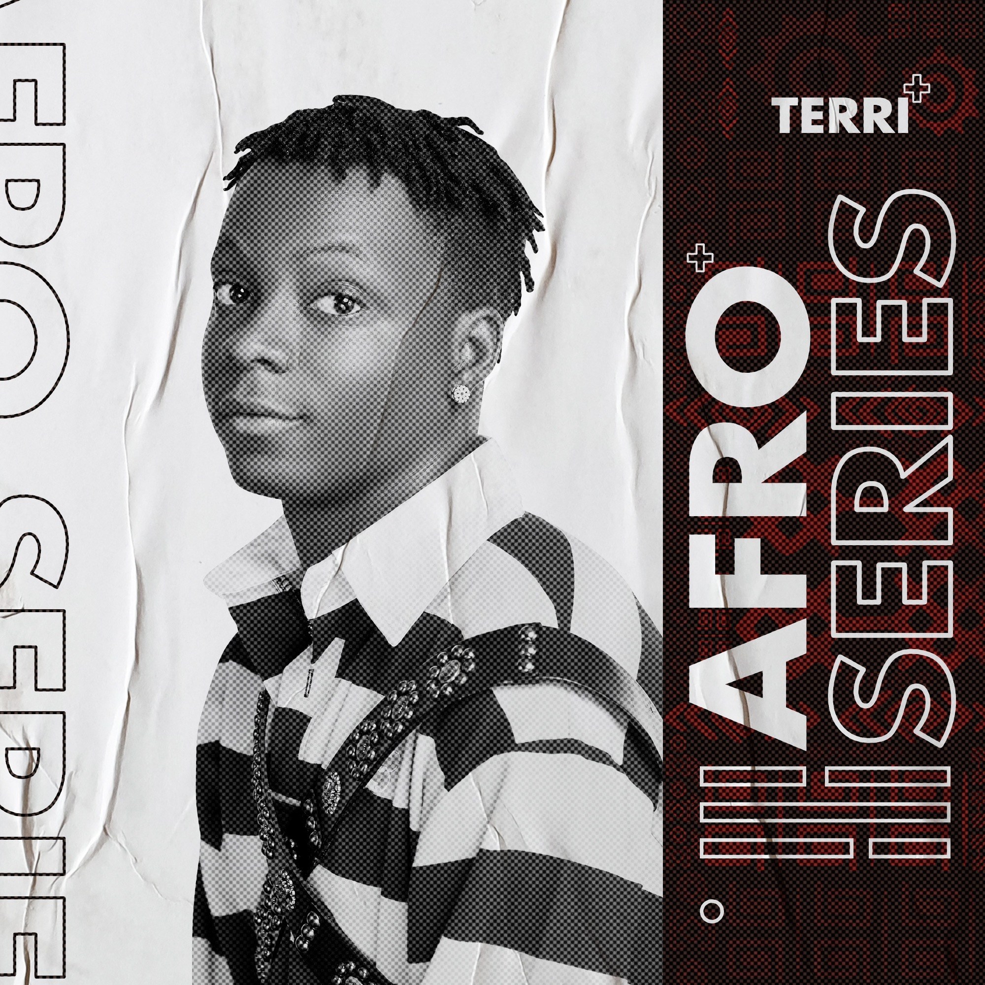 Terri Doo artwork
