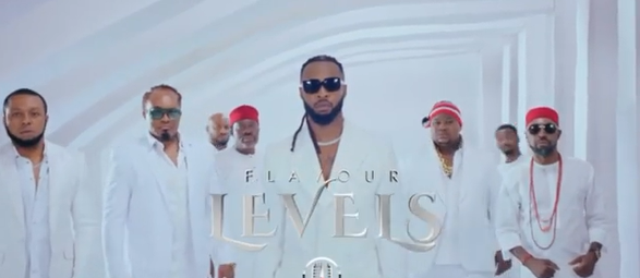 Flavour - Levels