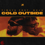 Timaya - Cold Outside feat. Buju (Instrumental)
