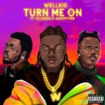 Wellkid – Turn Me On ft. Olamide & Jamopyper