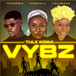 Taaooma - Tuli Koma Vybz Ft Tolibian & Kandilu
