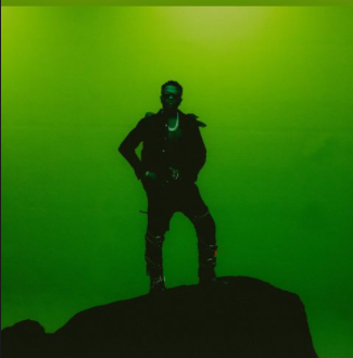 Wizkid - True Love