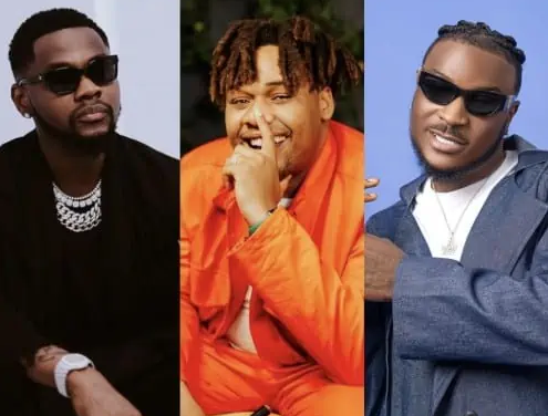 Peruzzi - New Song Ft Kizz Daniel & BNXN (Buju)