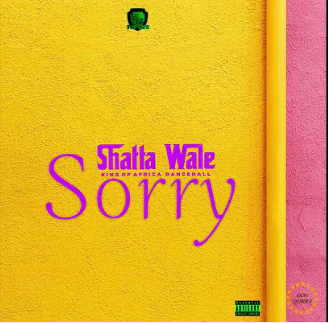 Shatta Wale – Sorry