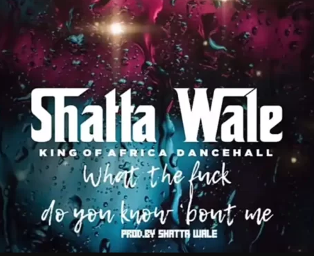 Shatta Wale – What The Fvck Do You Know About Me