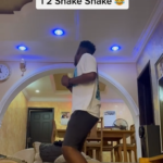 Tobi Peter - 1 2 Shake Shake