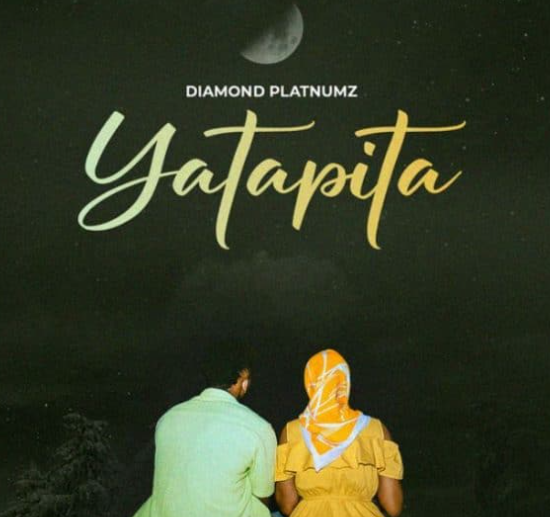 Diamond Platnumz - Yatapita Instrumental
