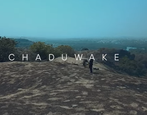 David Nathan - Chaduwake