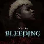 N'Dalla - Bleeding