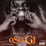 Sparkle Tee – Oso Gi