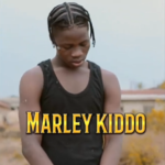 Marleykiddo – Omo Ologo (Cover)