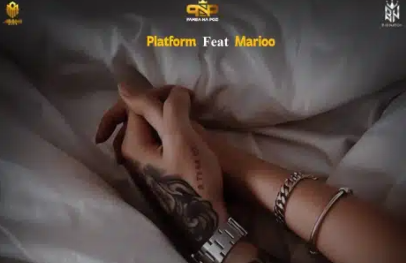 Platform Tz - Ananipenda Ft Marioo