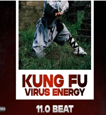 Dj Harzkid 016 - Kung Fu Virus
