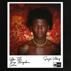 Seyi Vibez – Fuji Interlude