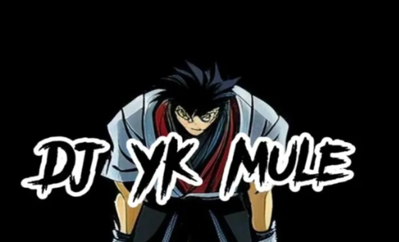 Dj Yk Mule - Happiano