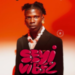 Seyi Vibez - Giza