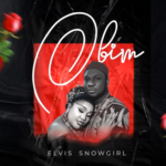 Evil Snowgirl - Obim Radio Edit