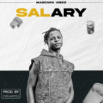 Mascara Vibez - Salary