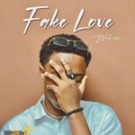Welz - Fake Love