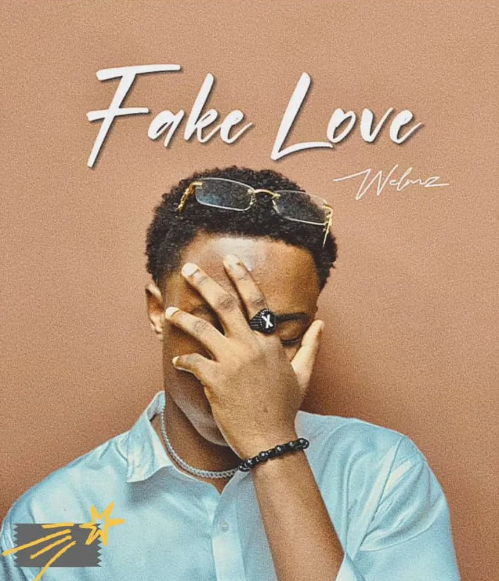 Welz - Fake Love
