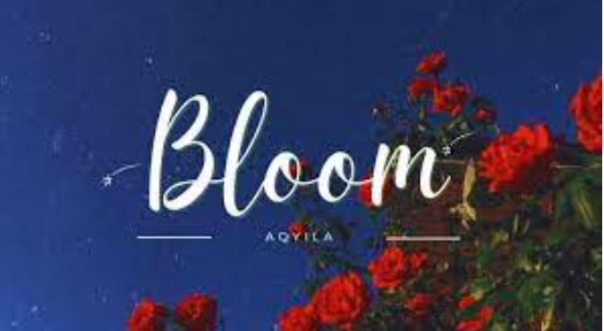 Aqyila – Bloom