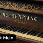 DJ YK Mule – Chosen Piano