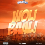Big Fish – Woli Baali (Afro Mara)