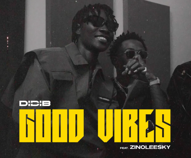 Didi B – Good Vibes Ft. Zinoleesky
