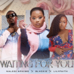 Naledi Aphiwe - Waiting For You ft Lil Faith & Blxckie