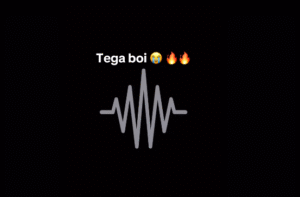 Tega Boi Dc - Grand Style Amapiano