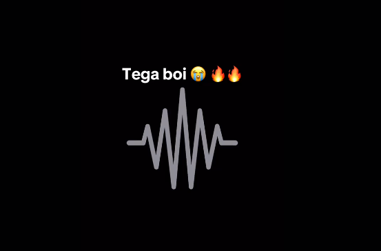 Tega Boi Dc - Grand Style Amapiano
