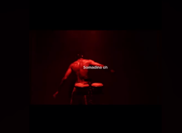 Serotonin – Somadina