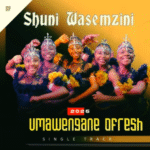 Shuni Wasemzini - Umawengane OFresh