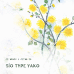Criss Tx - Sio Type Yako Ft. Chine