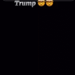 Smur Lee - Trump