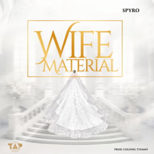Spyro – Wife Material