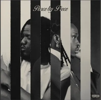 Fireboy DML - Shake Ft. Pheelz