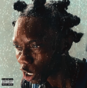 Blaqbonez - ACL