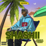 DarkoVibes – Shashii DarkoVibes - Shashii