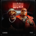 SlowDog – Work Ft. Evado