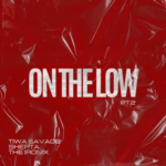 Tiwa Savage – On The Low Pt. 2 Ft. Skepta & The Ironix Tiwa Savage - On The Low Pt. 2 Ft. Skepta, The Ironix