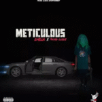 Chella – Meticulous Ft. Young Clique