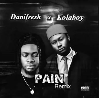 Danifresh - No Pain (Remix) Ft. Kolaboy